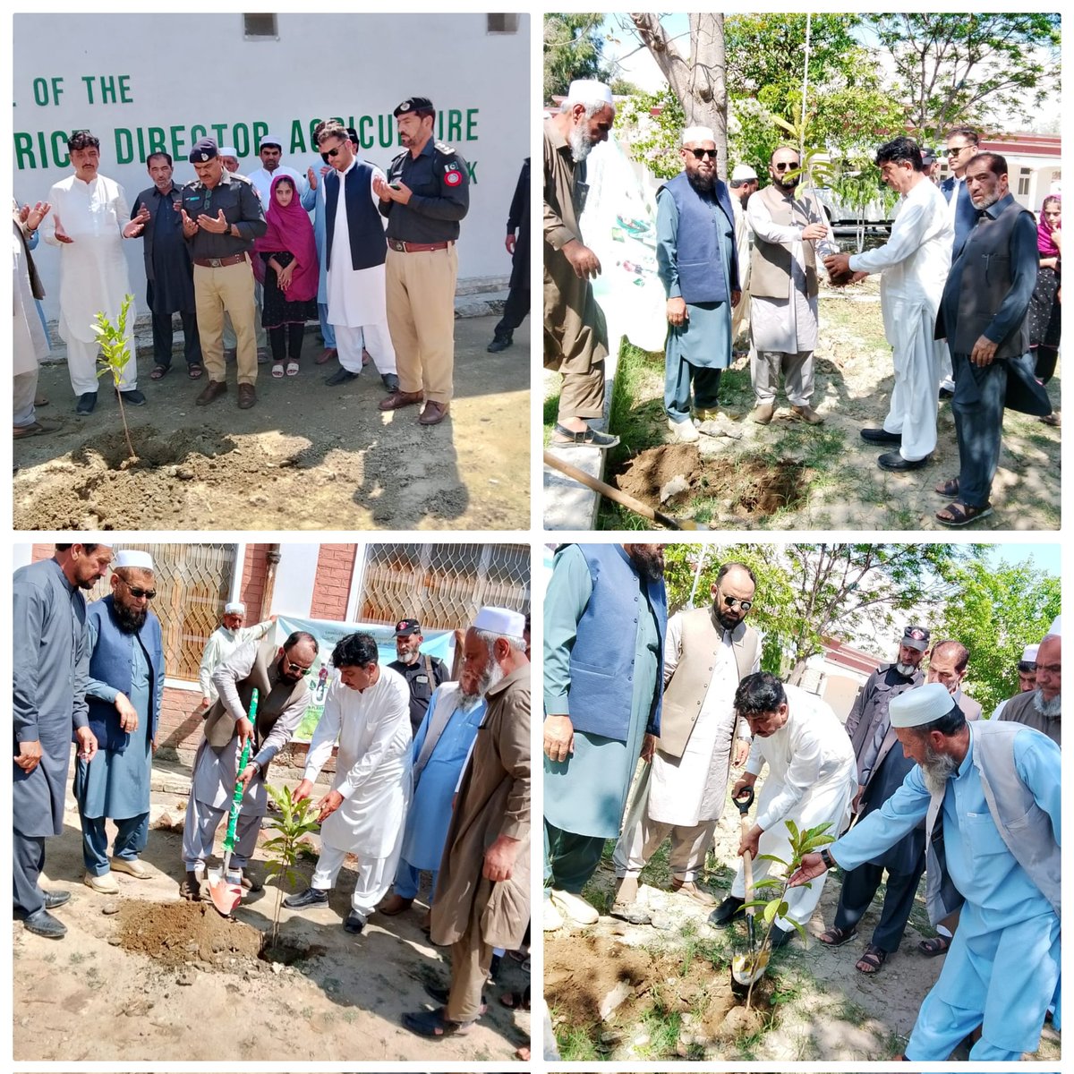 DC Karak tweet media