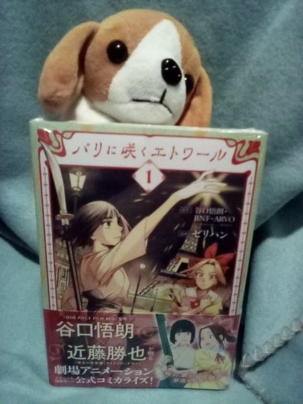 Dr.ことぶき Ph.D tweet media