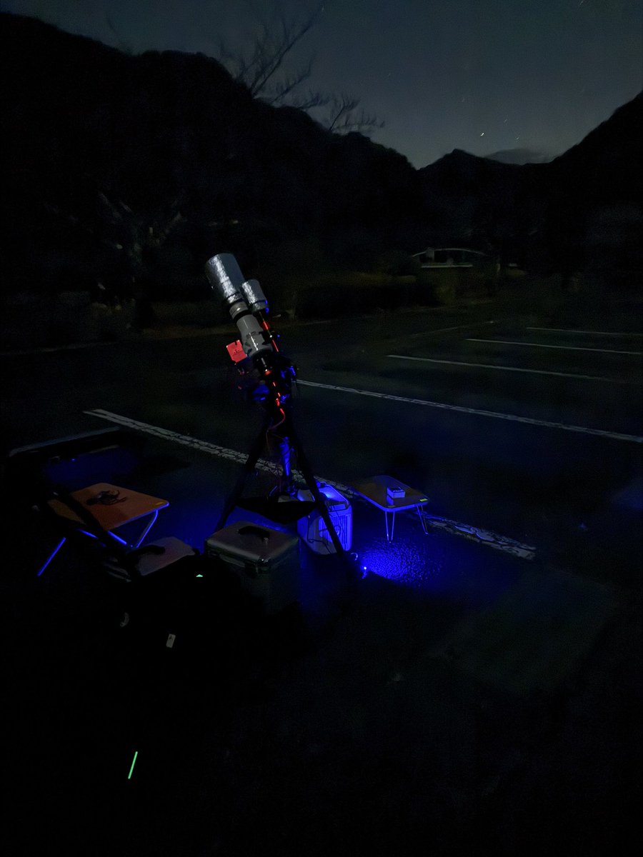 たるが tweet media