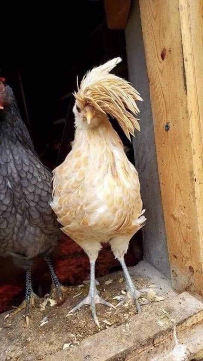 ☆숭찬㉧ ㅣ다♡ ( ֊ ̫ ֊ )∨ tweet media