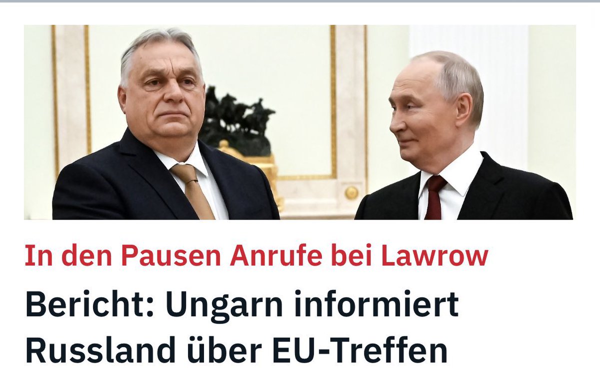 Stefan Schett tweet media