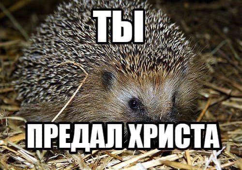 Гоблиноборец-сан tweet media