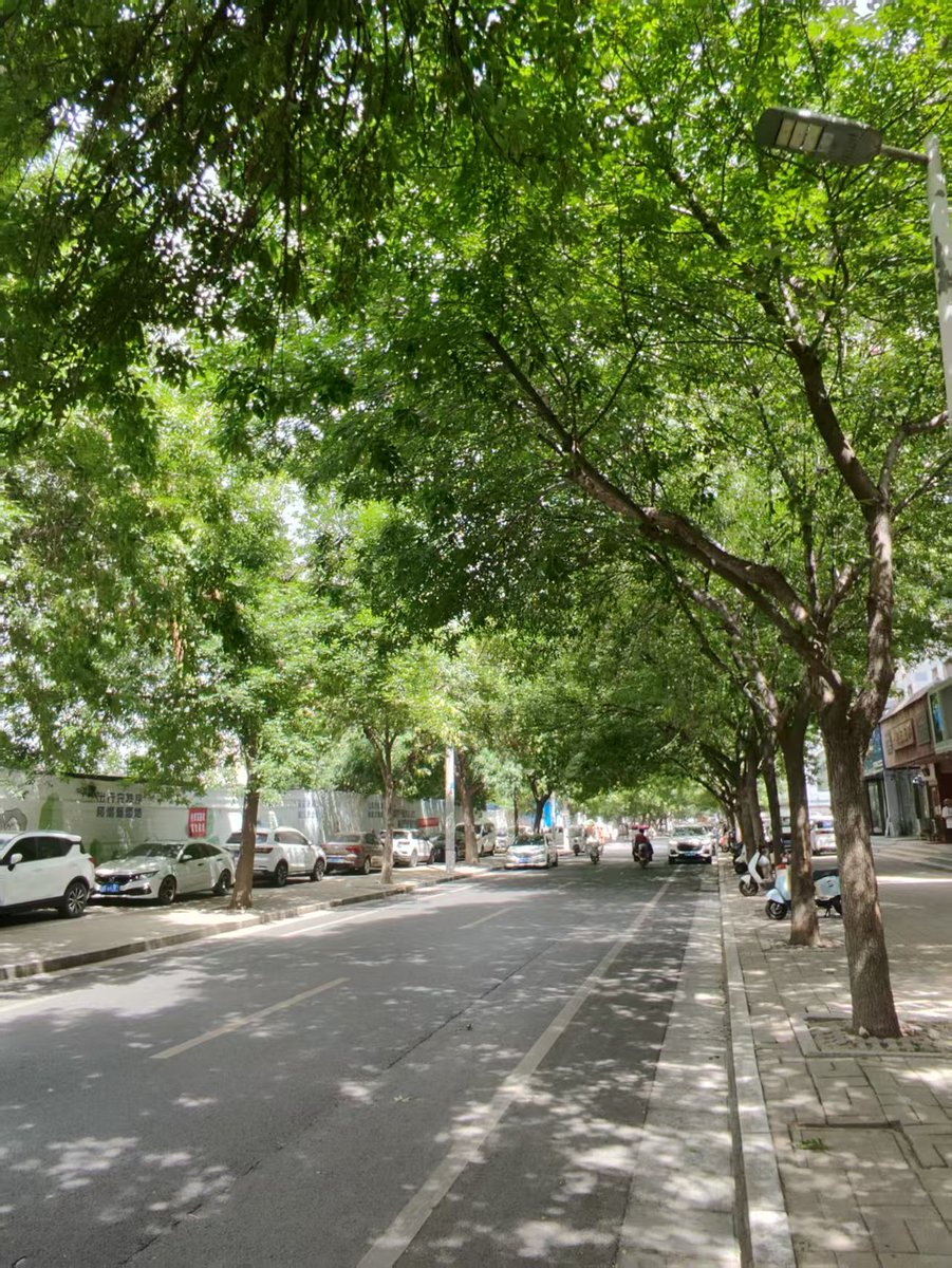 caspersaad tweet media