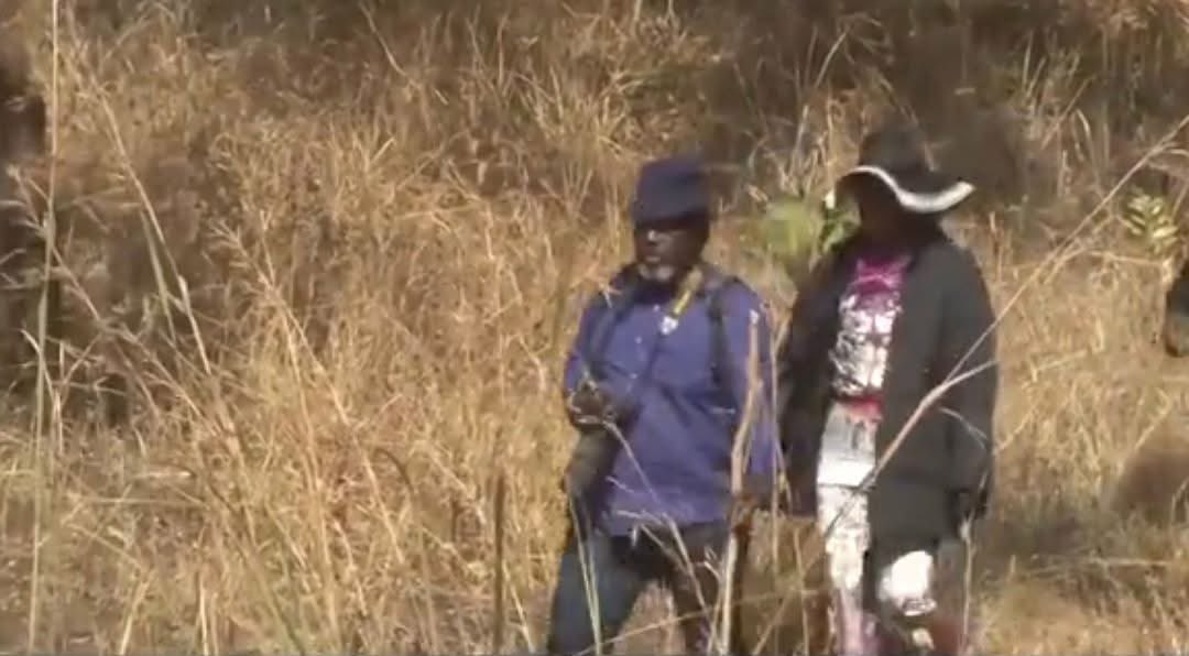 Béatrice Shako (Bs) tweet media