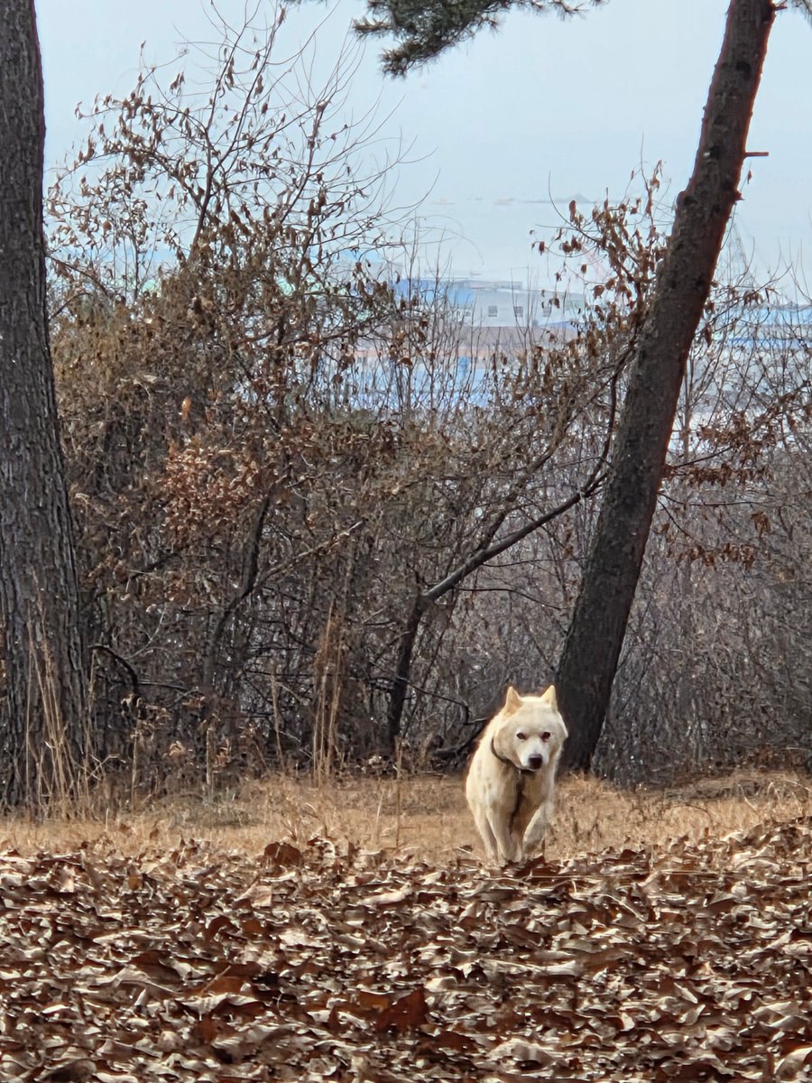 봄태풍 tweet media