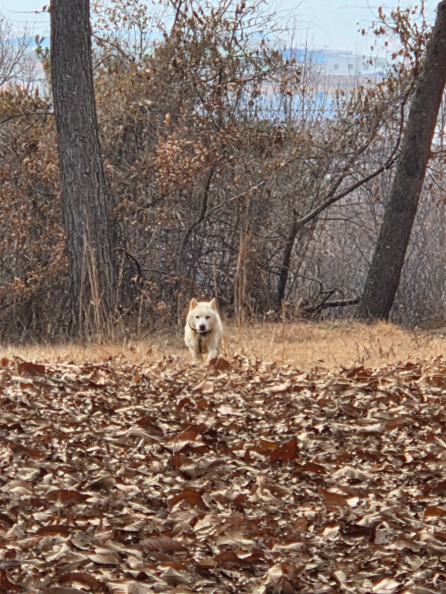 봄태풍 tweet media