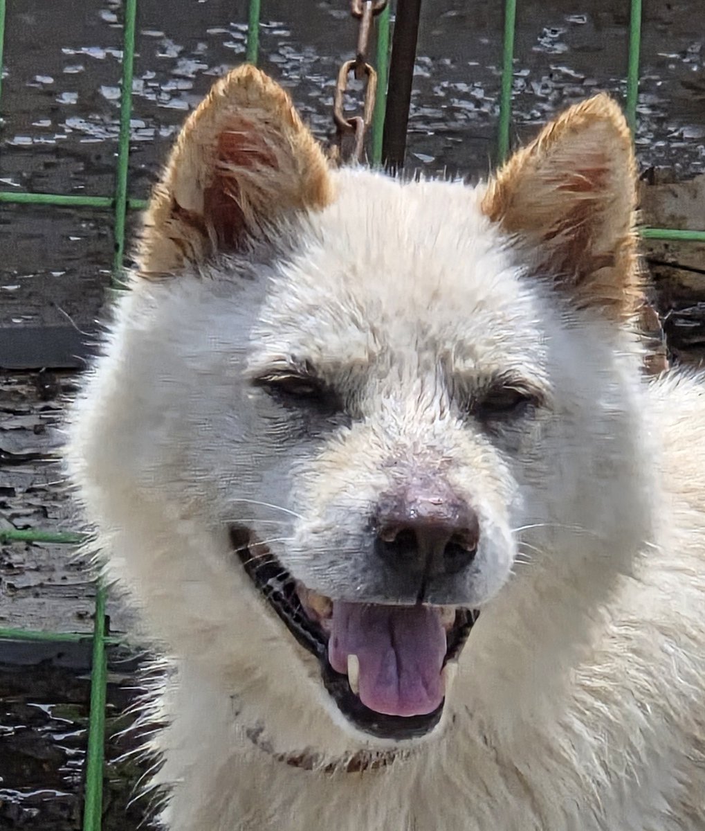 봄태풍 tweet media