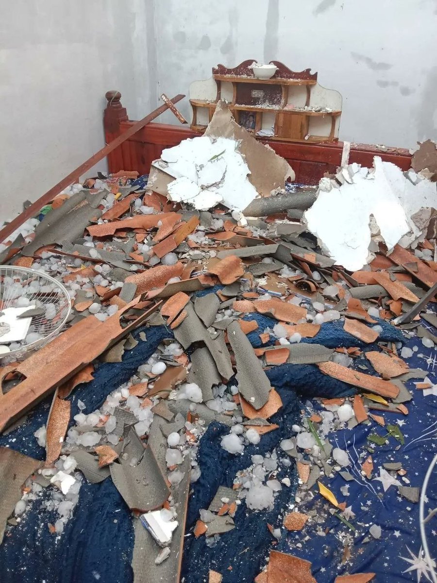 Alex Terry tweet media