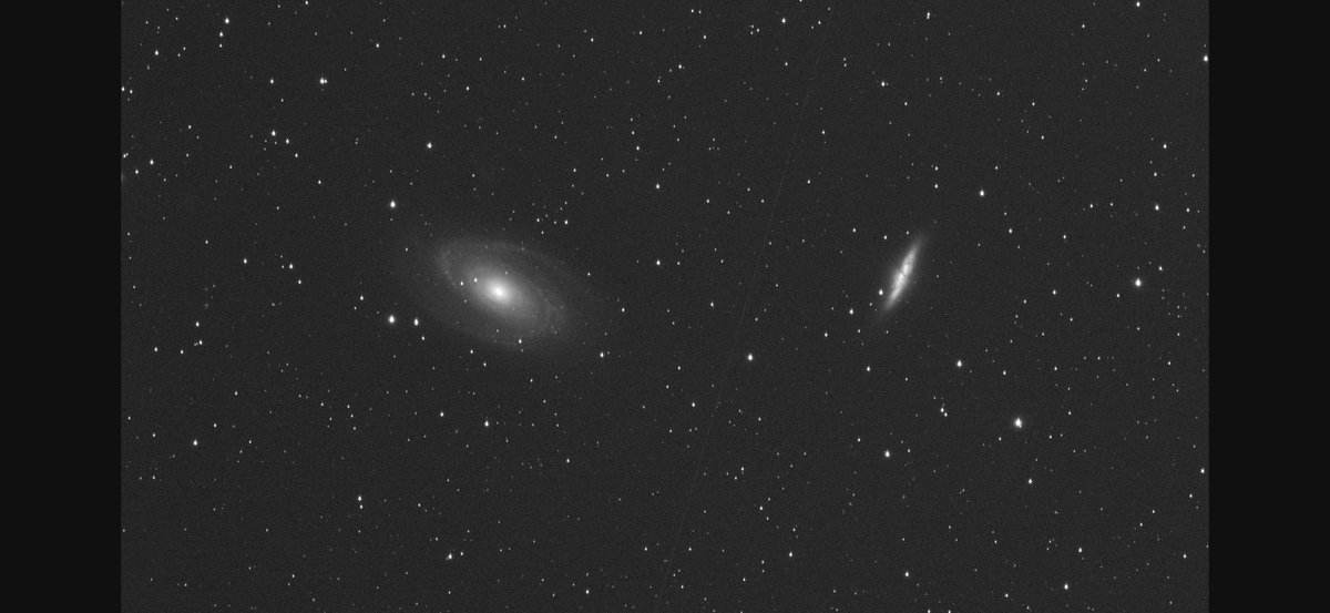 たるが tweet media