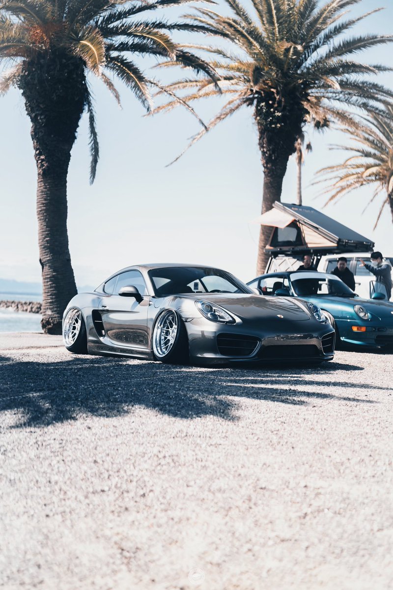 まぐろ🍣🍦 tweet media