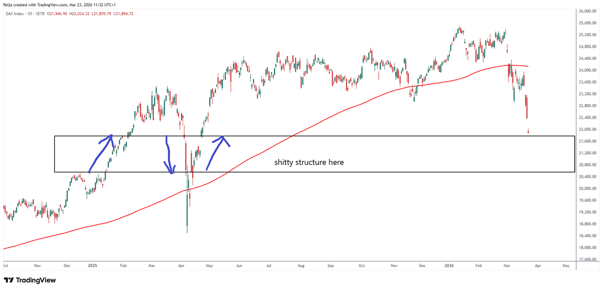 StrayDog tweet media
