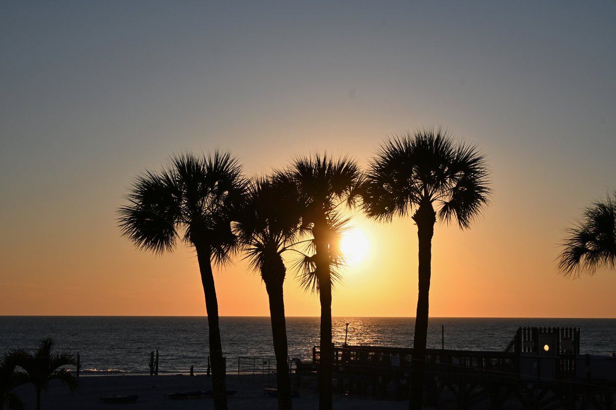 Brian Kerr tweet media