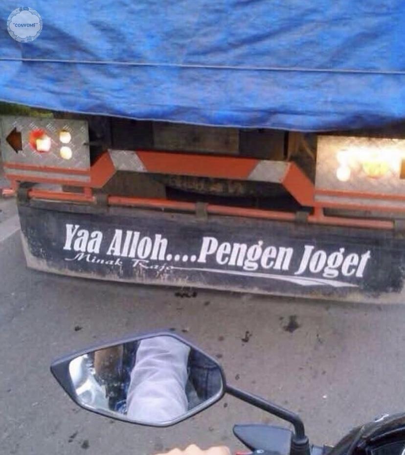 vey🦈🐋🐬 tweet media