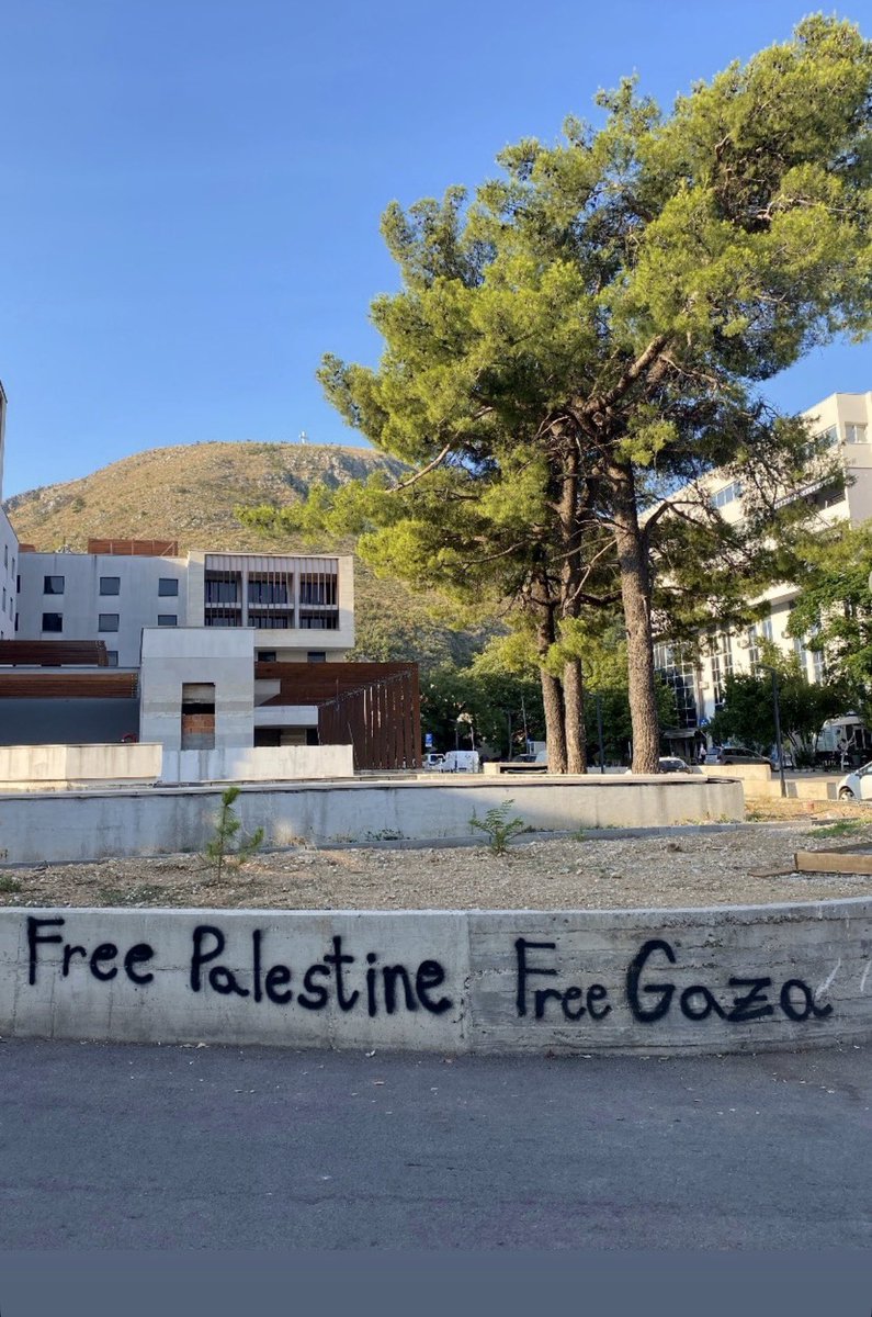 Browski🇧🇦🇹🇷 tweet media