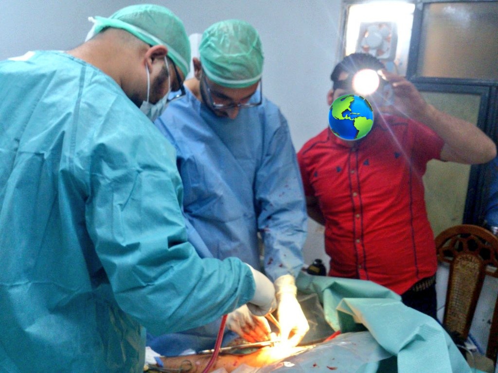 نوفز tweet media