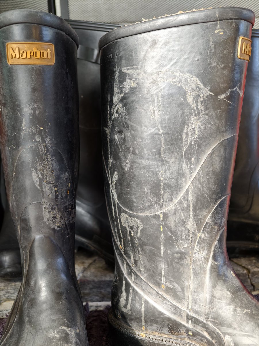 Fetishworxx tweet media