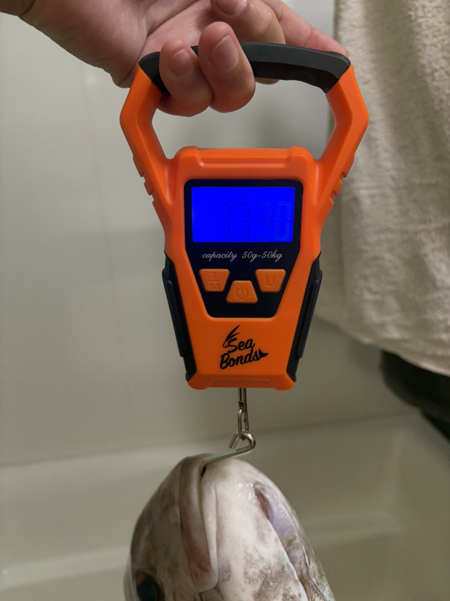 ジギプラ tweet media