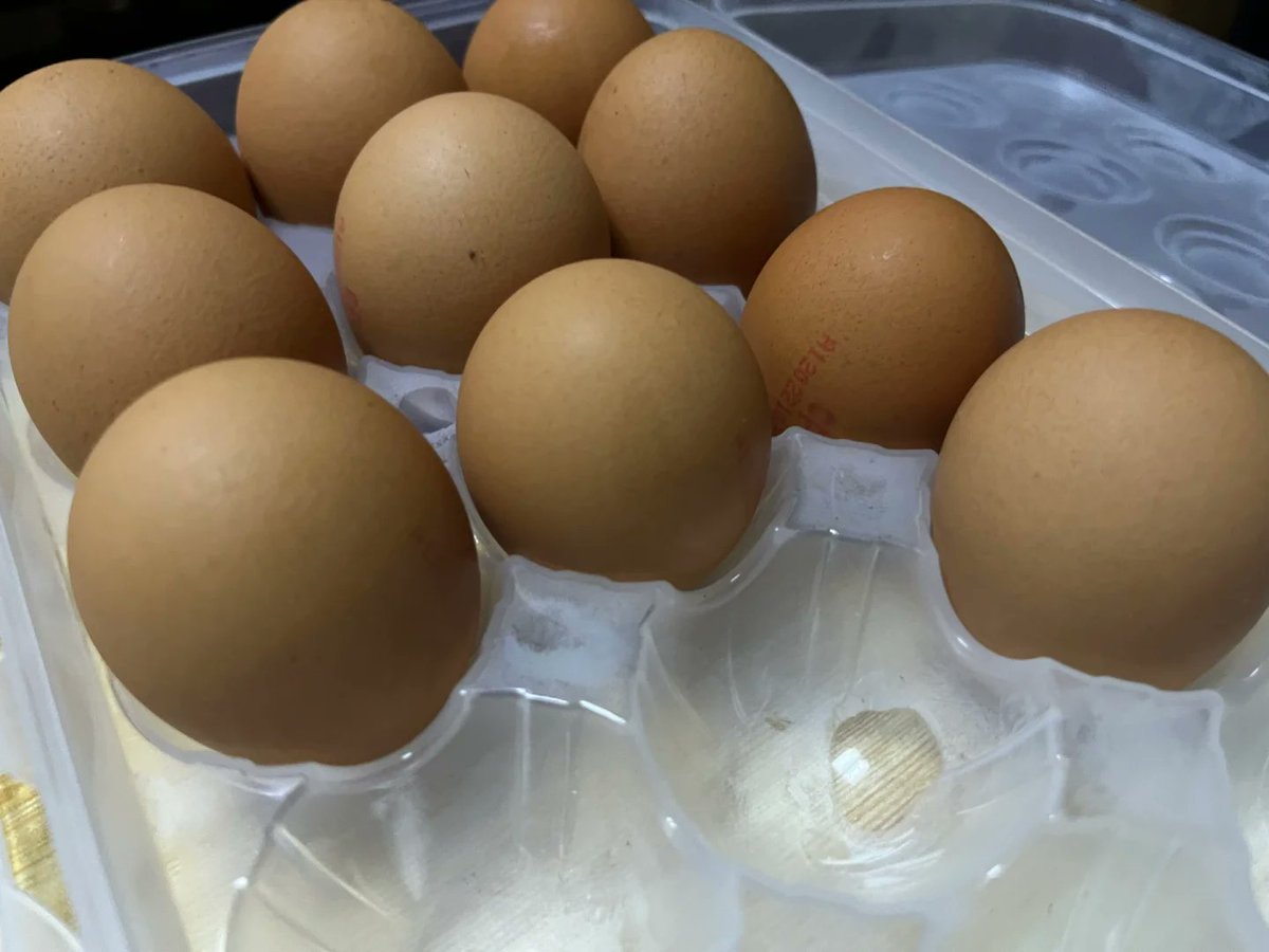 kosta xatzigeorgiou tweet media