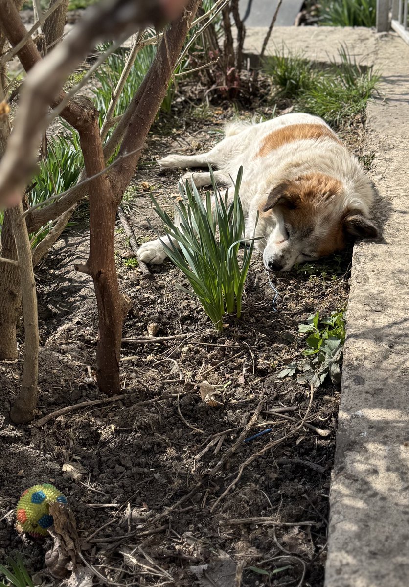 Rousseau & Reese Think Tank tweet media