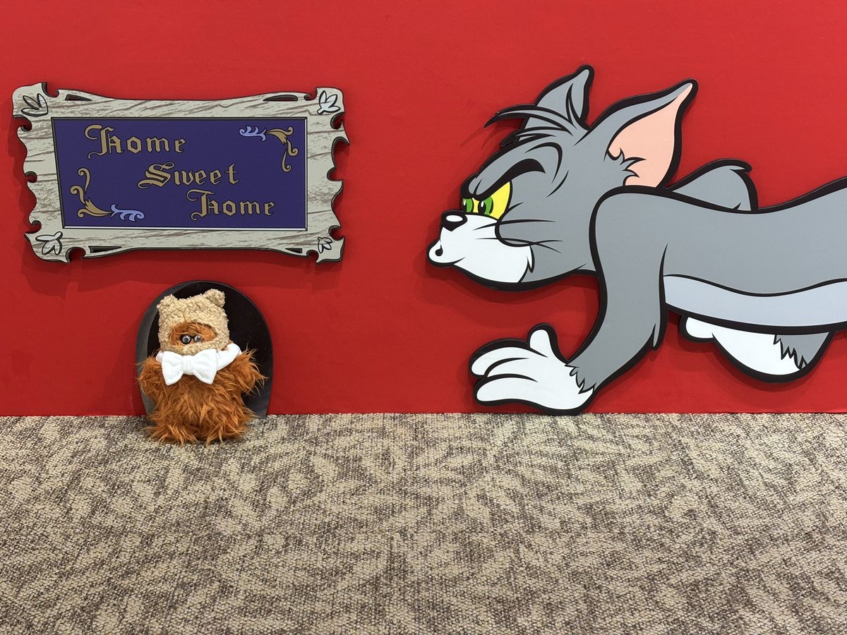 ぽぽみ@JAPANツアー盛岡 tweet media