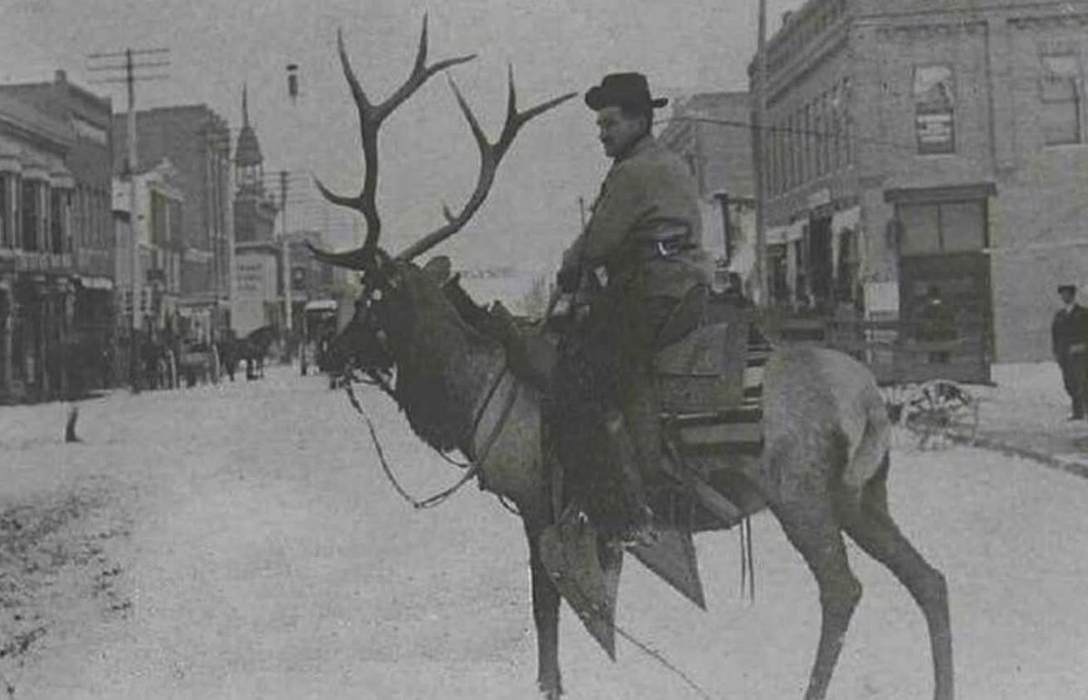 Archaeo - Histories tweet media