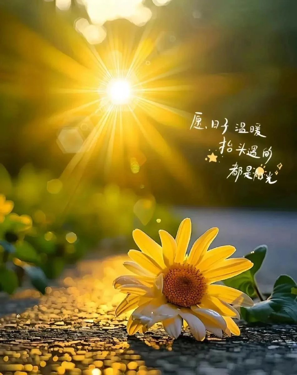 tarikcevik tweet media