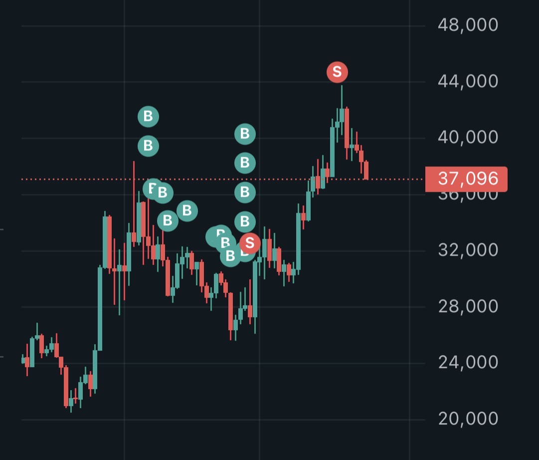 Alex Paz tweet media