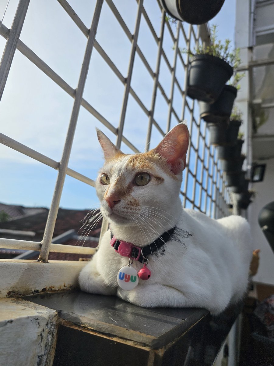 Coffee bae tweet media