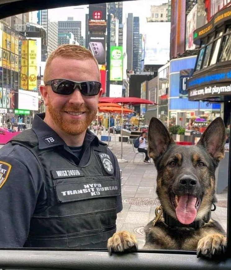 Beyond The Leash tweet media