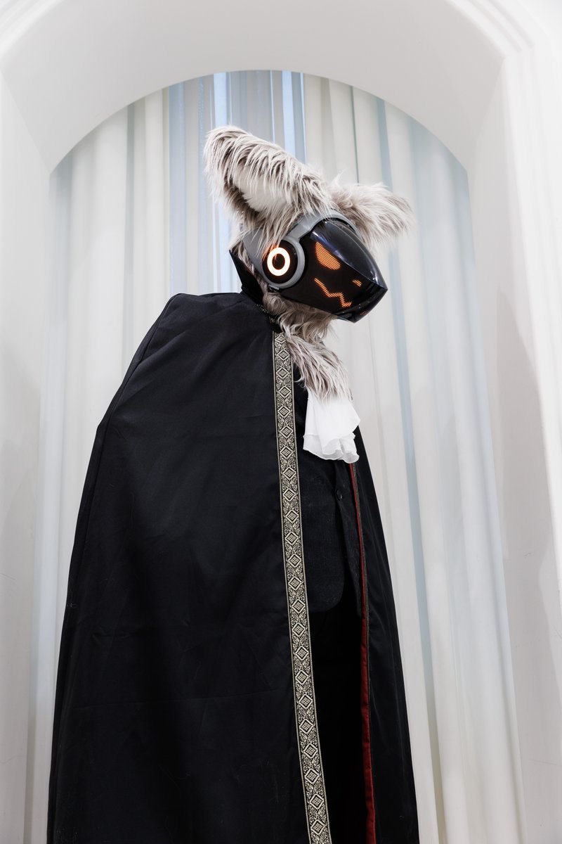 Chaos카이🔜부코,퍼클 tweet media