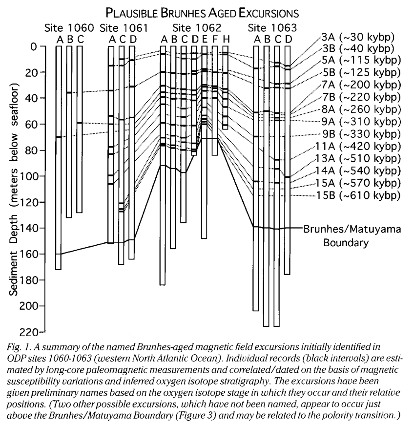 Tami Camarata tweet media