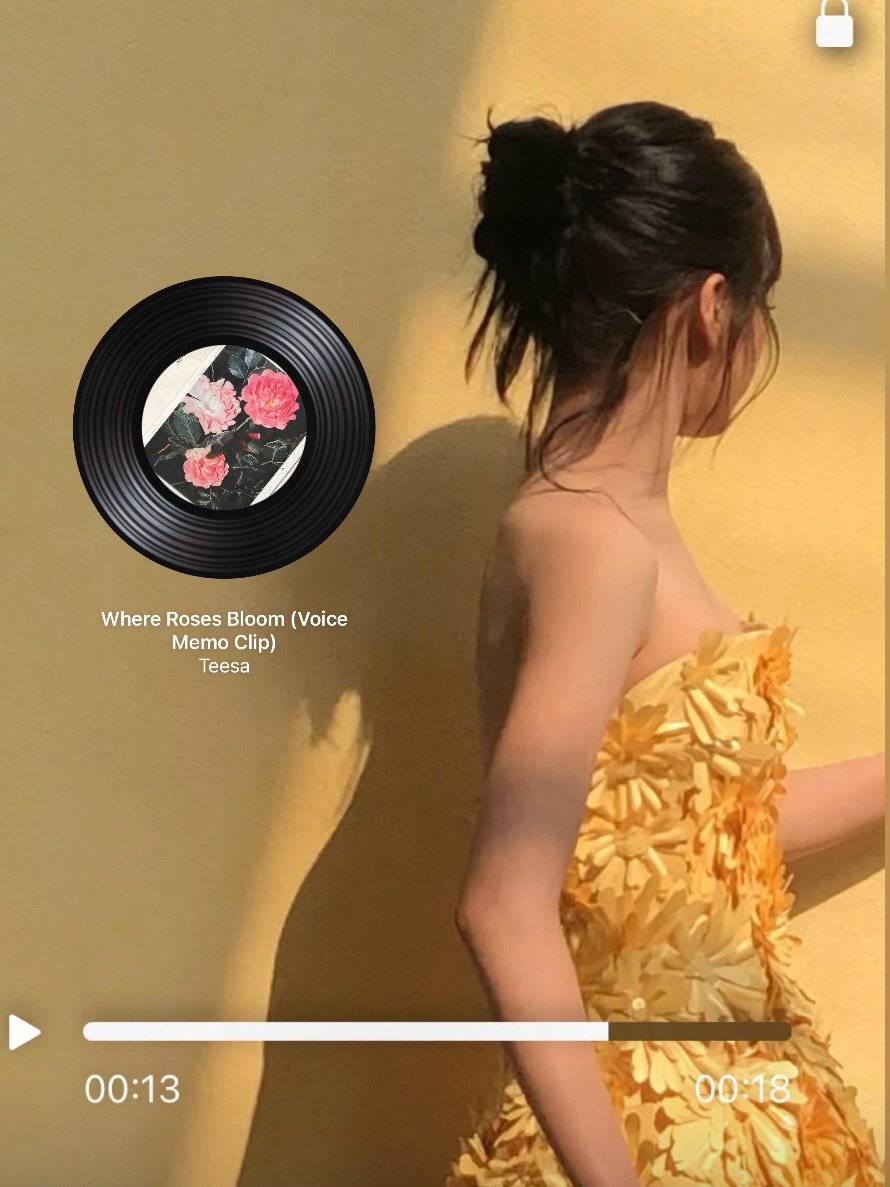 for BABYMONSTER ❇️ tweet media