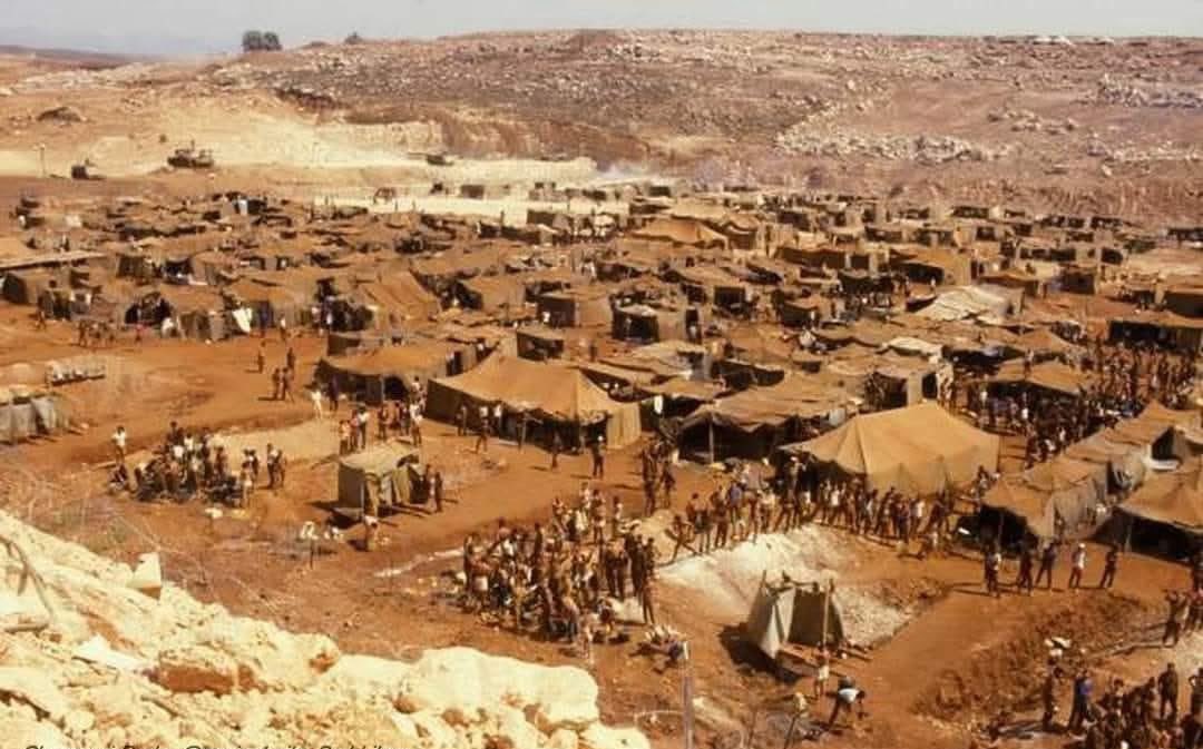 Mohamad Safa tweet media