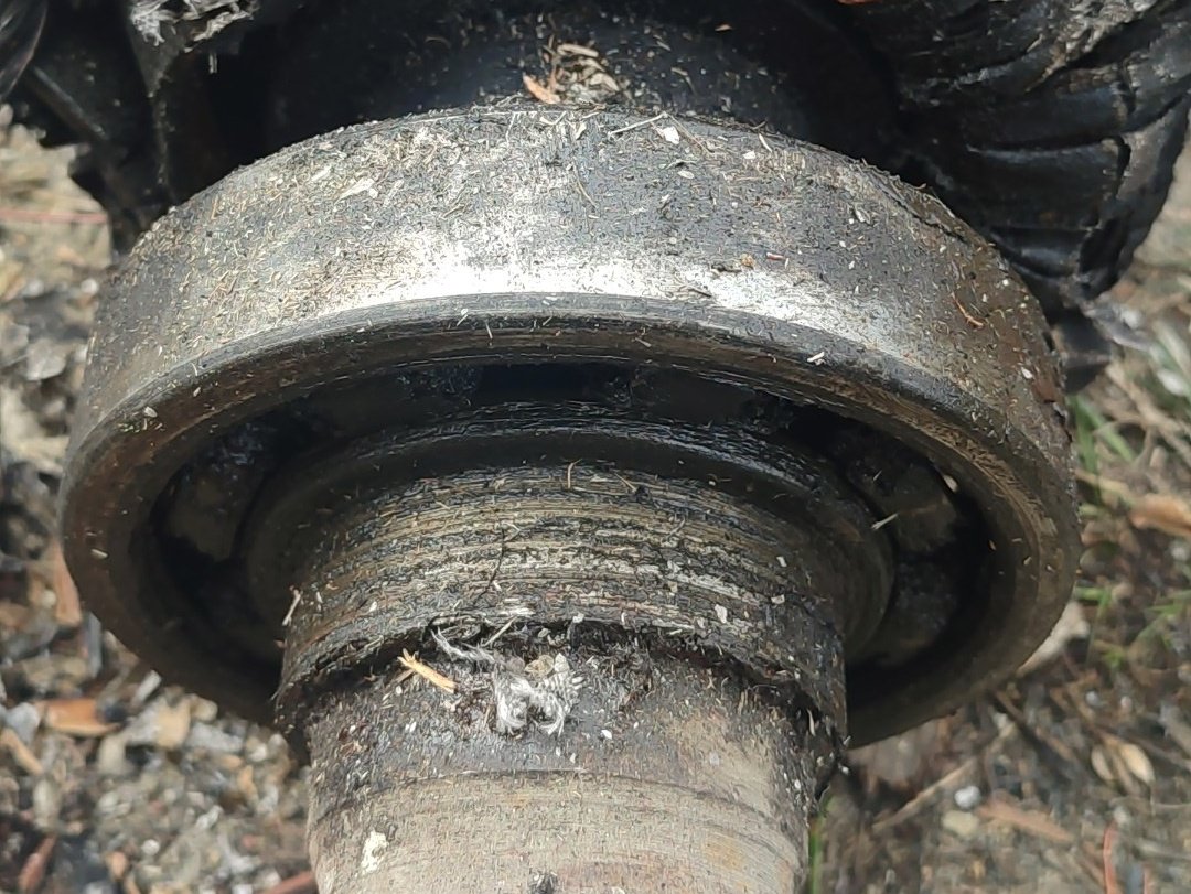 Берасцеец tweet media