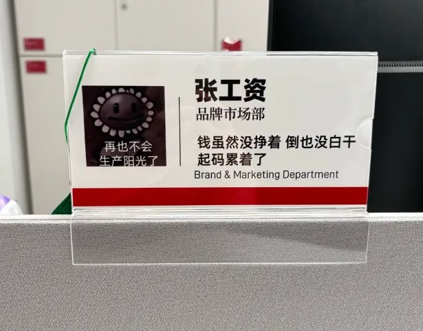 defy sandra tweet media