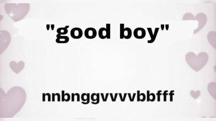 🐾Puppy boy 🐾 tweet media