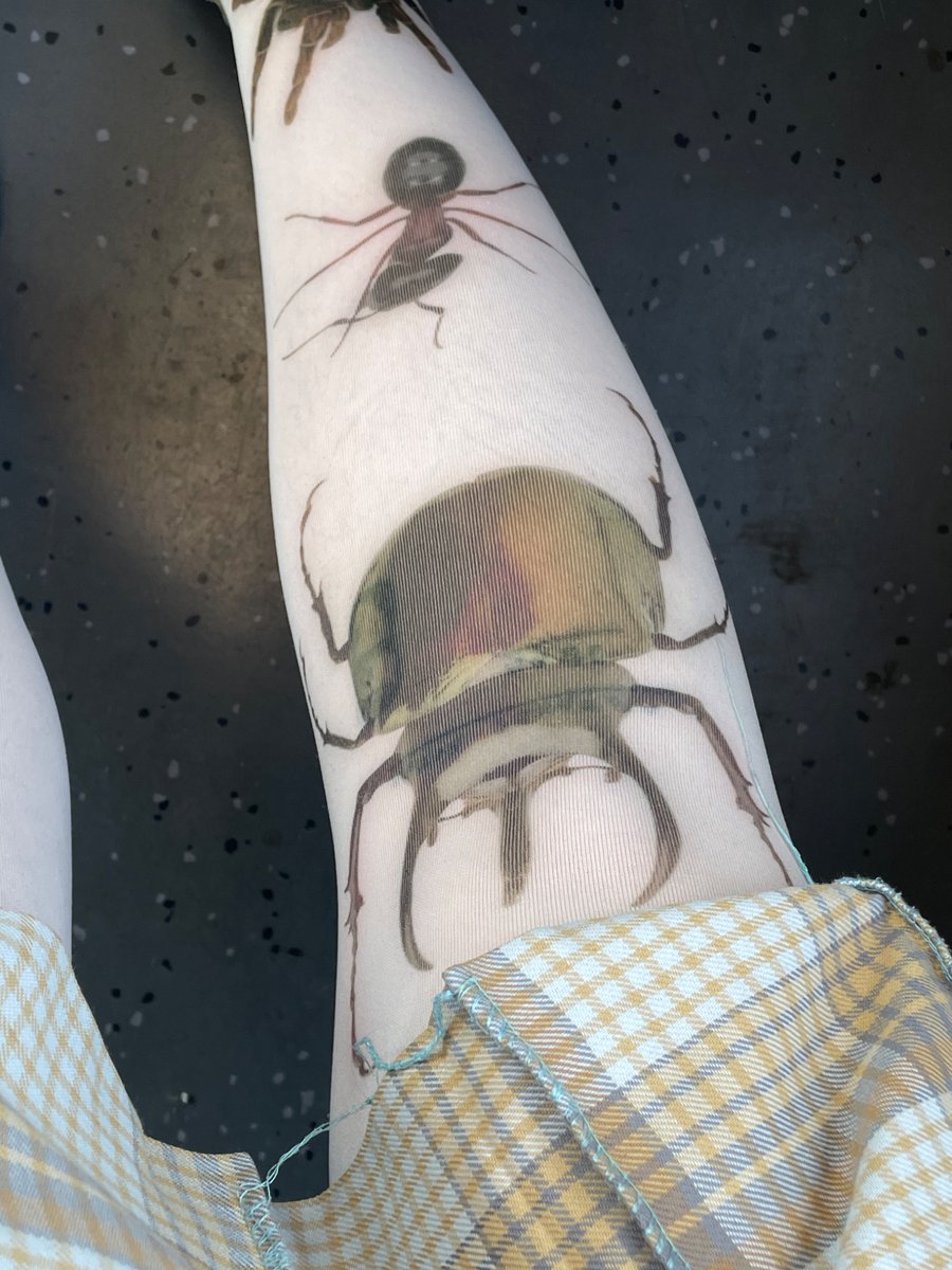 *. mehl ☻ .* 🐛🍉 tweet media