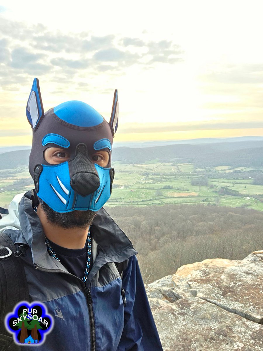 Pup Skysoar tweet media