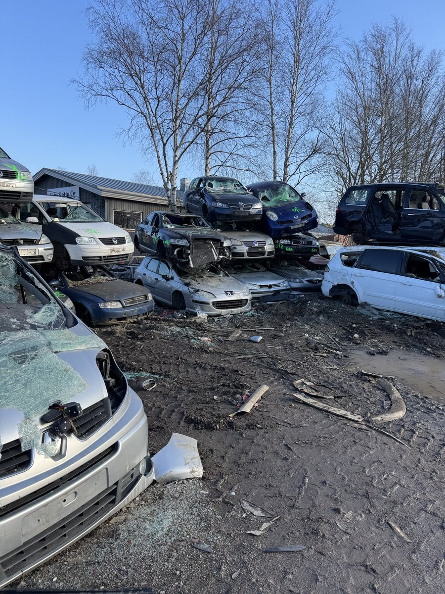 Otto Meri tweet media