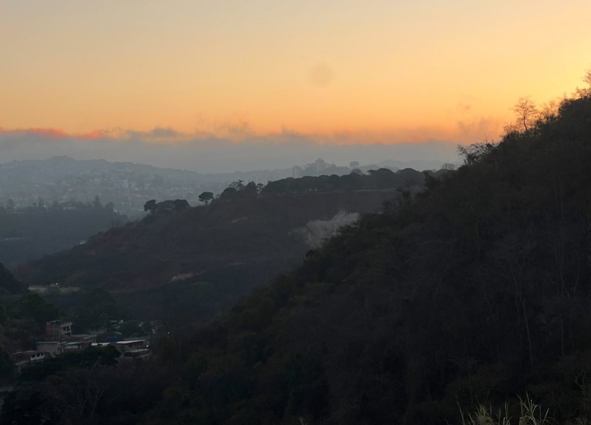 Eduardo Sifontes P. tweet media