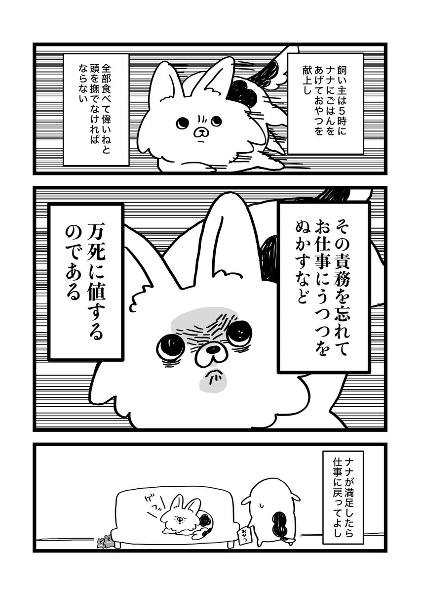 ノグチマリコ tweet media