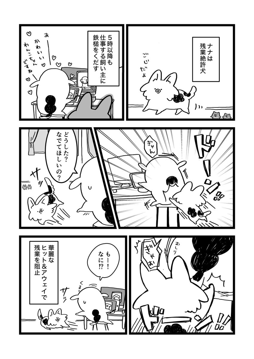 ノグチマリコ tweet media