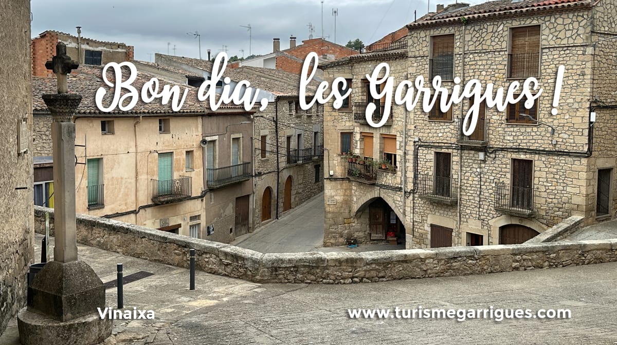Consell Comarcal de les Garrigues tweet media