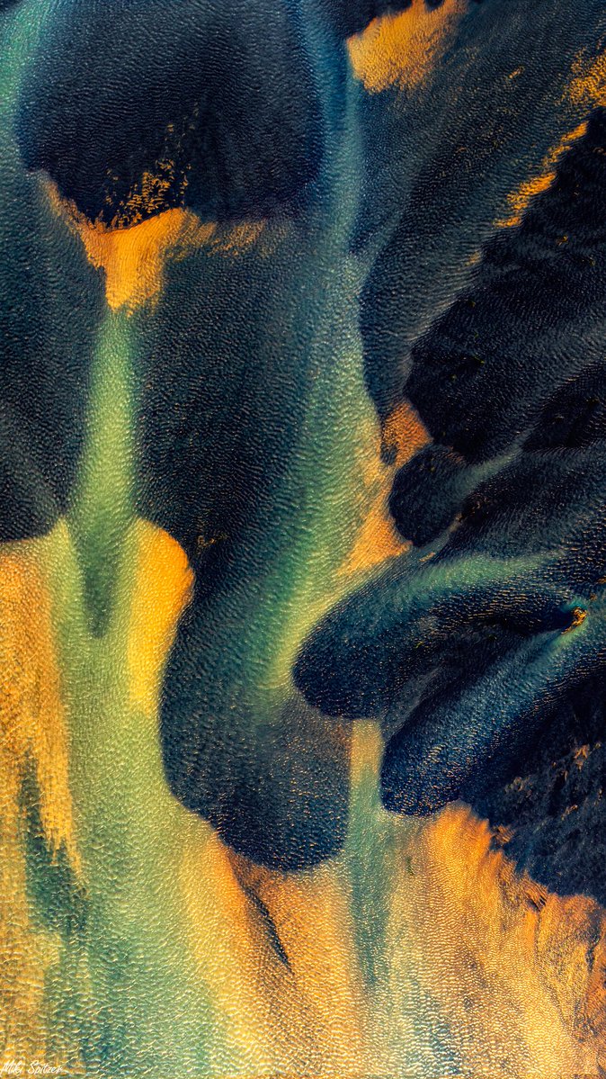 Miki Spitzer מיקי שפיצר tweet media