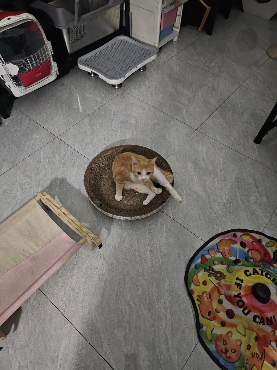 Coffee bae tweet media