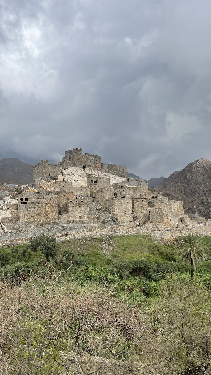 زيـاد العُمري tweet media