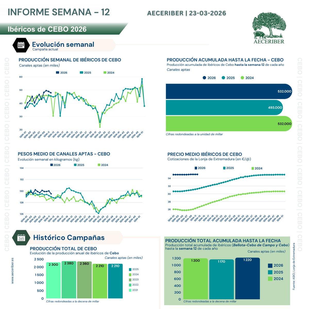 AECERIBER tweet media