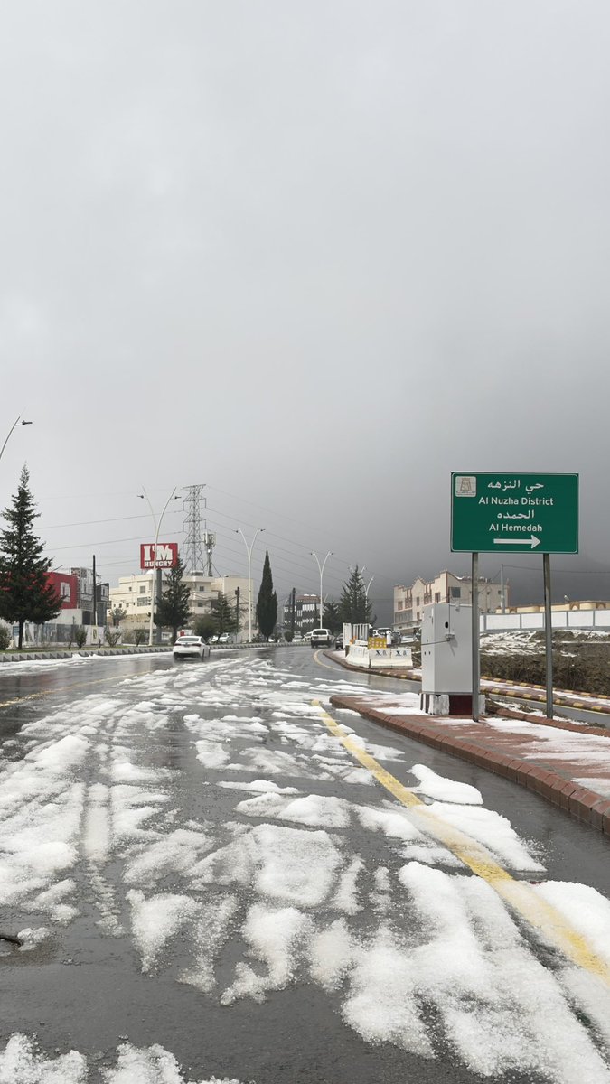 MANSOUR ALGHAMDI tweet media