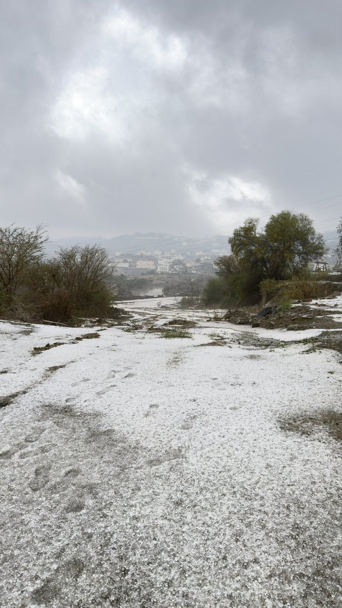 MANSOUR ALGHAMDI tweet media