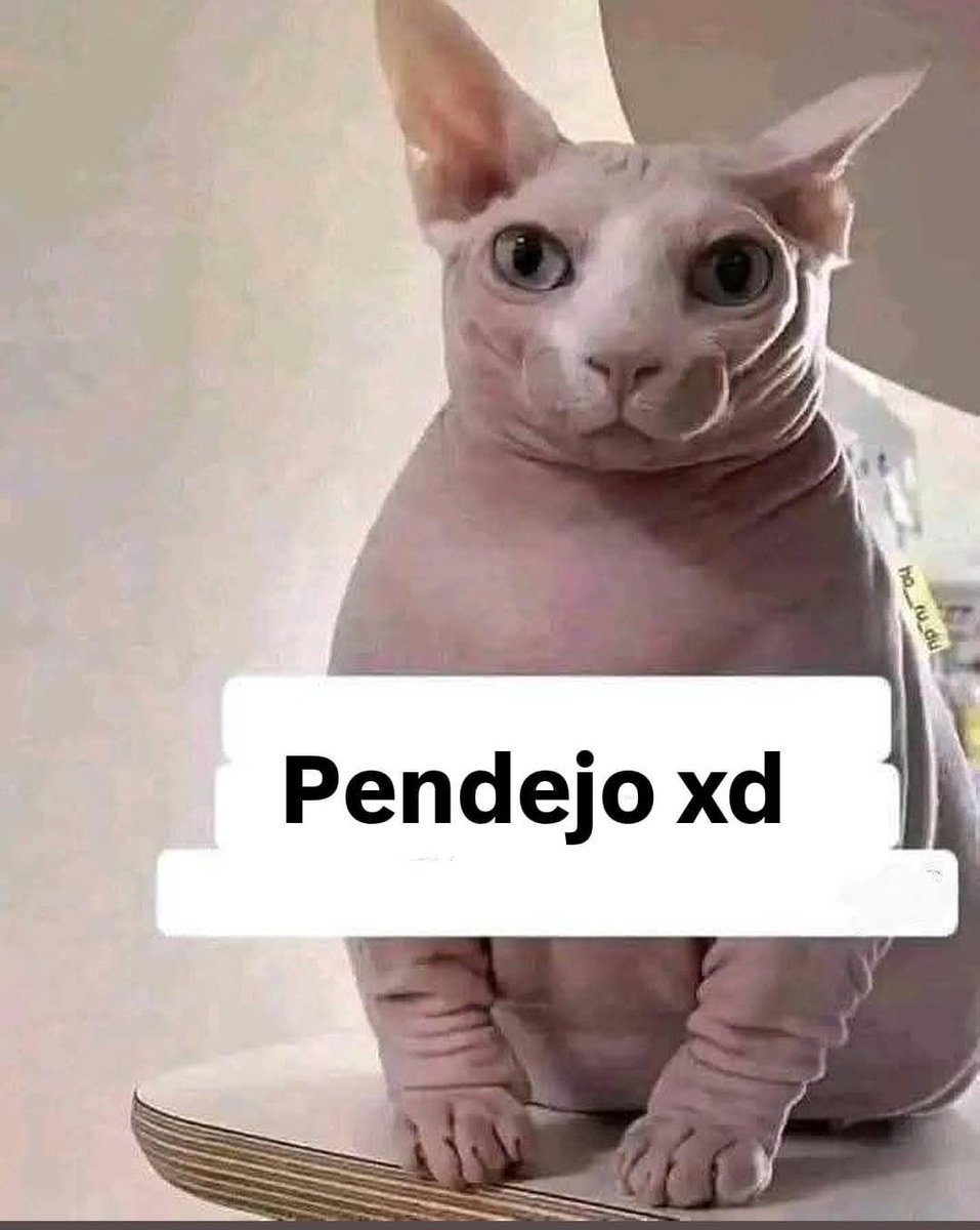 IShowKevin tweet media